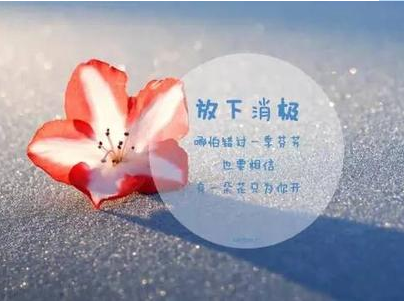 命是弱者的借口，運是強者的謙辭